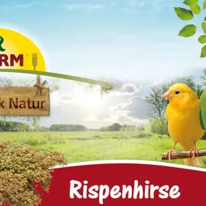Letzte Chance JR FARM Birds Rispenhirse 100g Vogelsnack